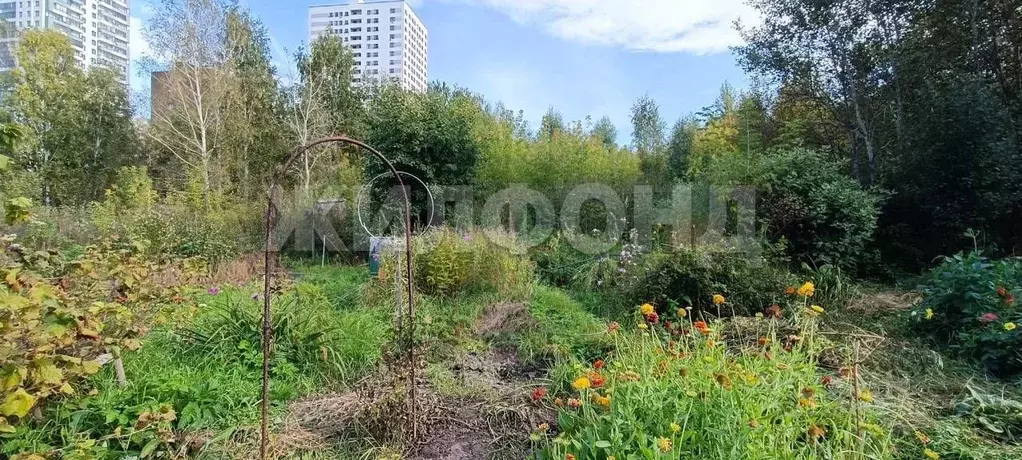 Участок в Новосибирская область, Новосибирск  (8.1 сот.) - Фото 2