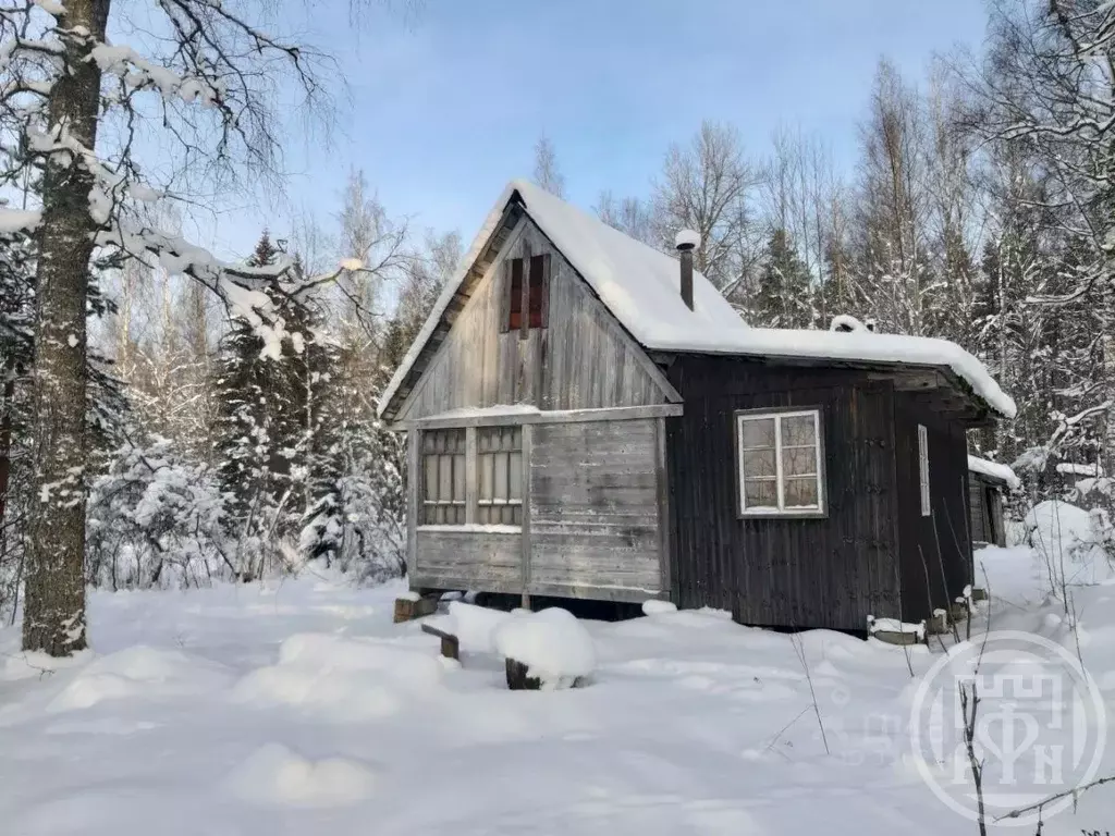 Дом в Ленинградская область, Приозерский район, Ромашкинское с/пос, д. ... - Фото 2