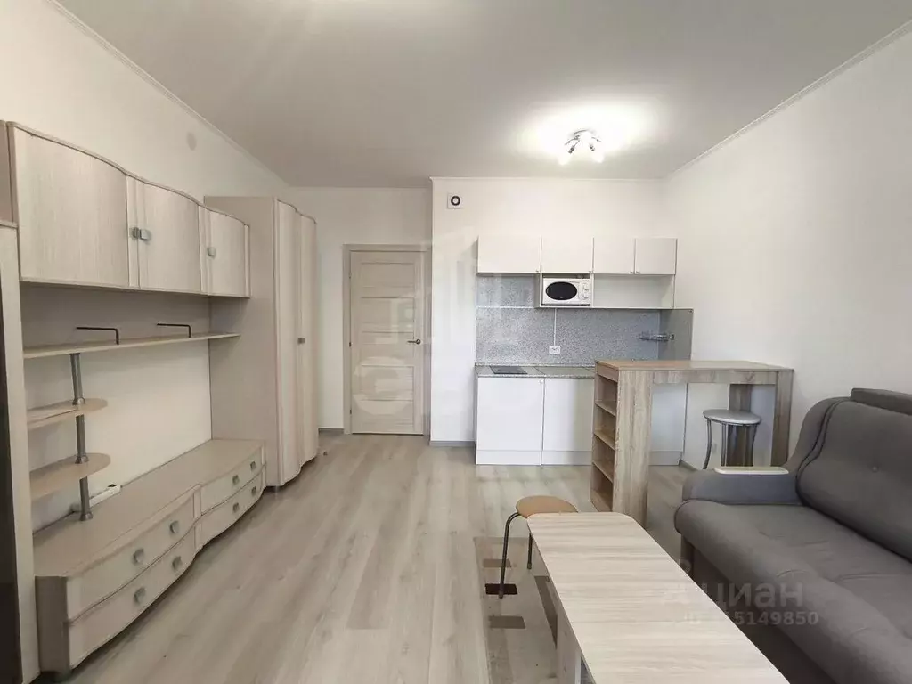 Студия Санкт-Петербург Комендантский просп., 66к7 (24.0 м) - Фото 1