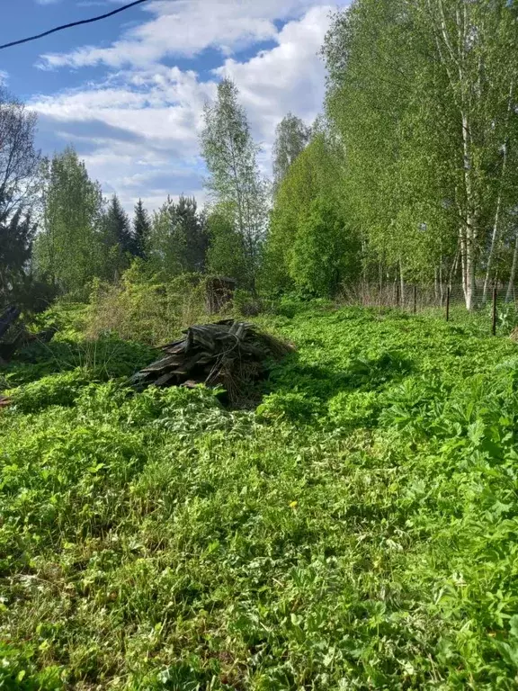 Участок в Тверская область, Конаково Южная ул. (10.0 сот.) - Фото 0