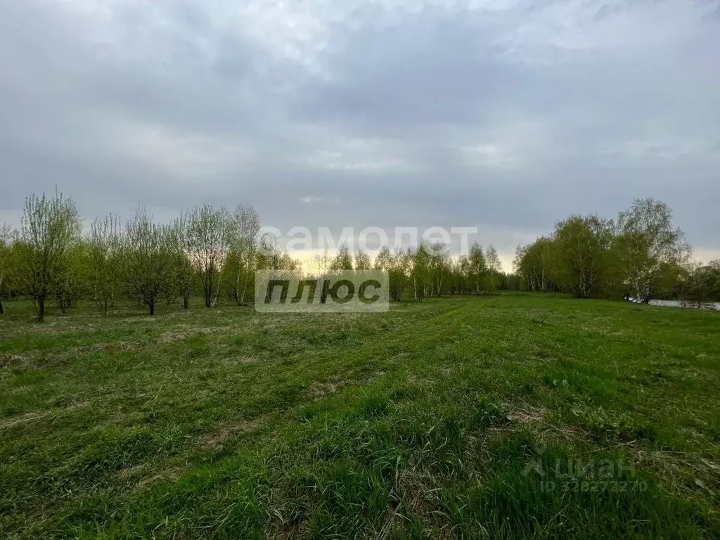 Участок, 240 сот., сельхоз (снт или днп) - Фото 1