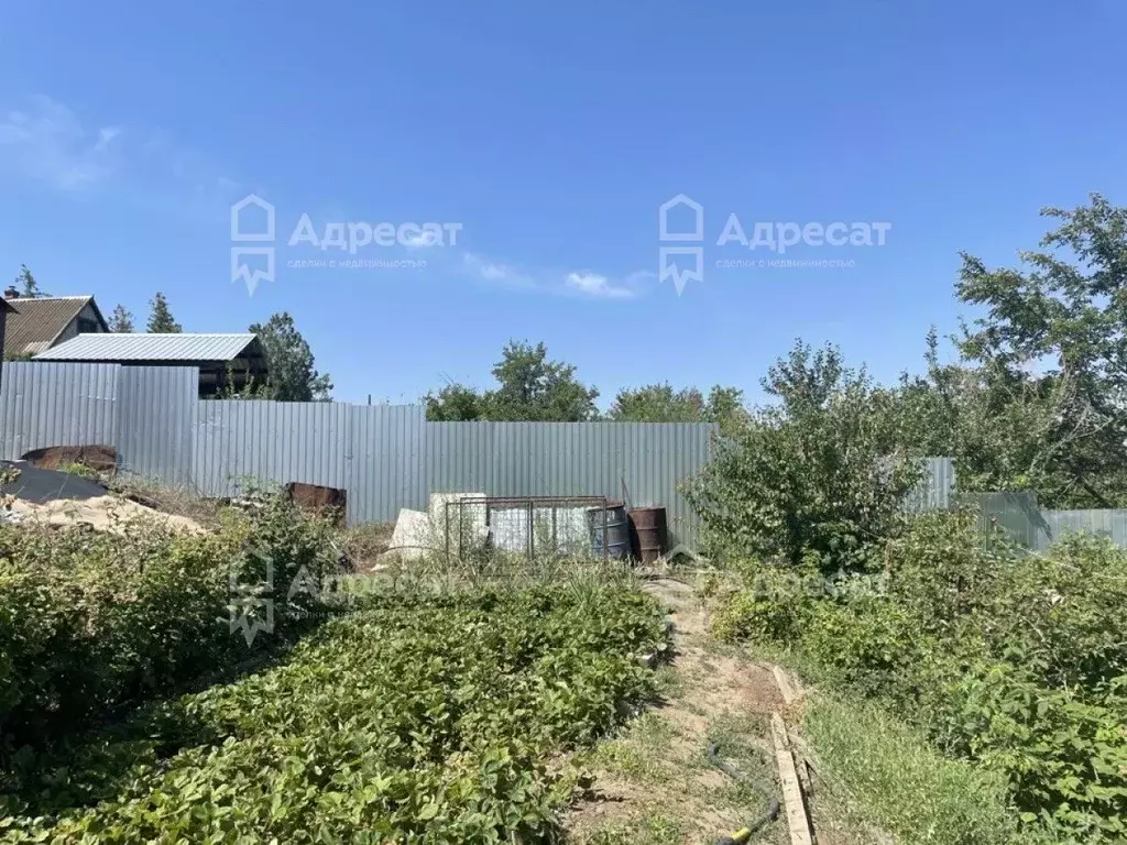 Участок в Волгоградская область, Волгоград Любитель СНТ,  (5.97 сот.) - Фото 0