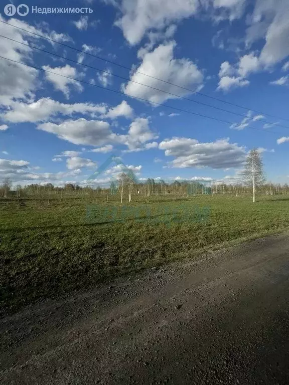 Участок в Плотниковский сельсовет, КП Время Гринвич (7.3 м) - Фото 2