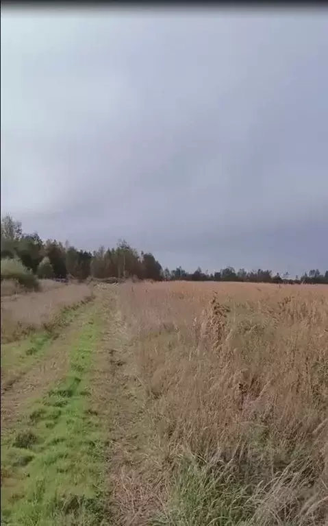 Участок в Новгородская область, Солецкий муниципальный округ, д. ... - Фото 1