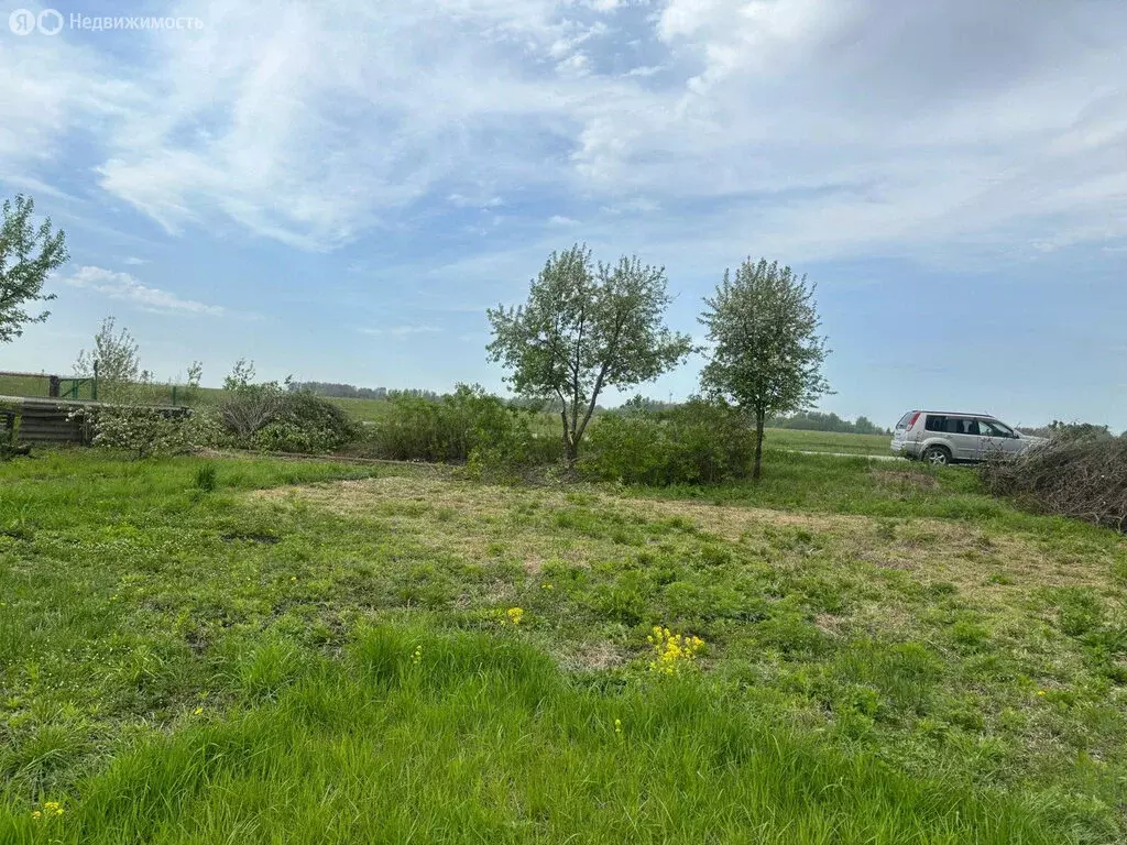 Участок в Бердск, садоводческое некоммерческое товарищество Запрудный, ... - Фото 2