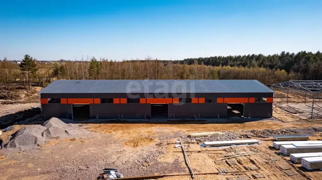 Склад в Ленинградская область, Ломоносовский район, Пениковское с/пос, ... - Фото 1