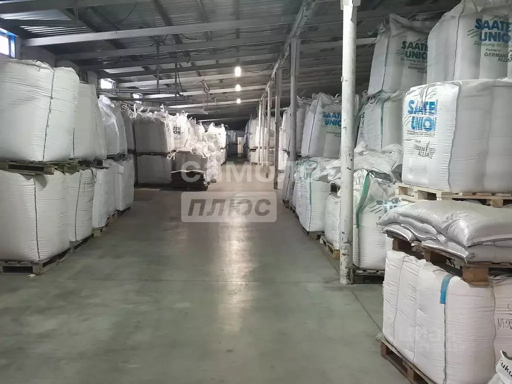 Склад в Липецкая область, Липецкий муниципальный округ, с. Подгорное ... - Фото 2