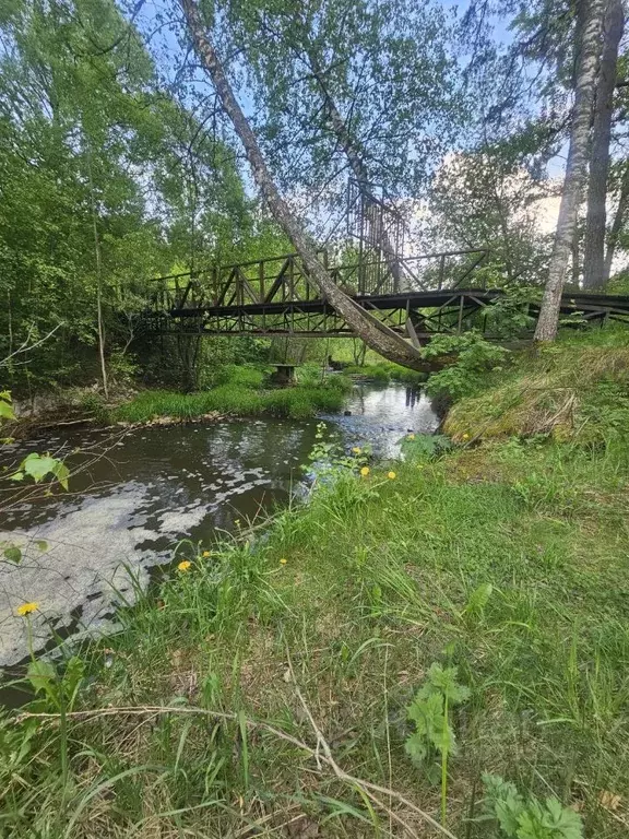 Участок в Московская область, Солнечногорск городской округ, д. ... - Фото 1