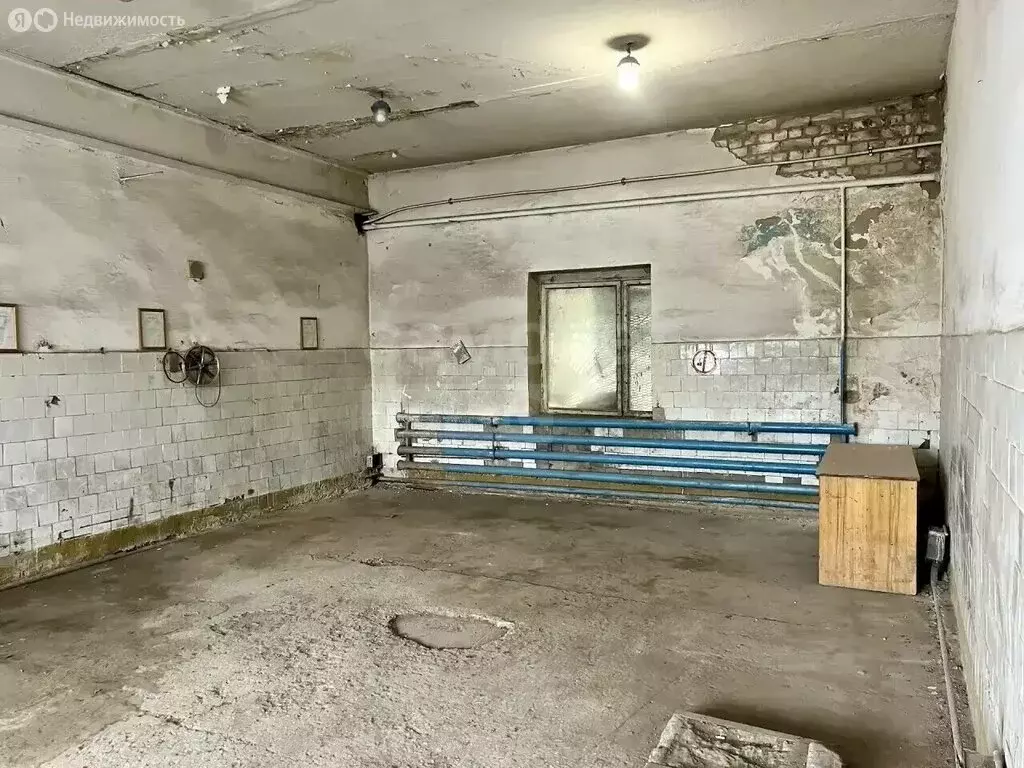 Помещение свободного назначения (897.3 м) - Фото 1