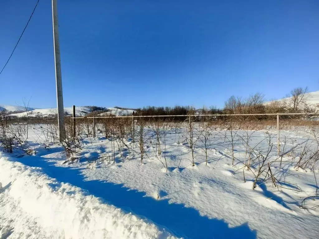 Участок в Алтайский край, Алтайский район, Айский сельсовет, с. Ая ул. ... - Фото 2