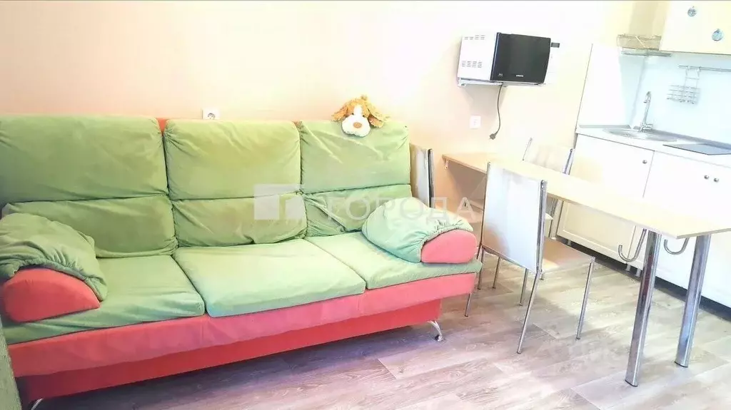 Студия Новосибирская область, Новосибирск ул. Титова, 253/4 (26.4 м) - Фото 2