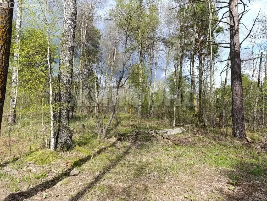 Участок в посёлок Синий Утёс, Синий утёс (15 м) - Фото 1