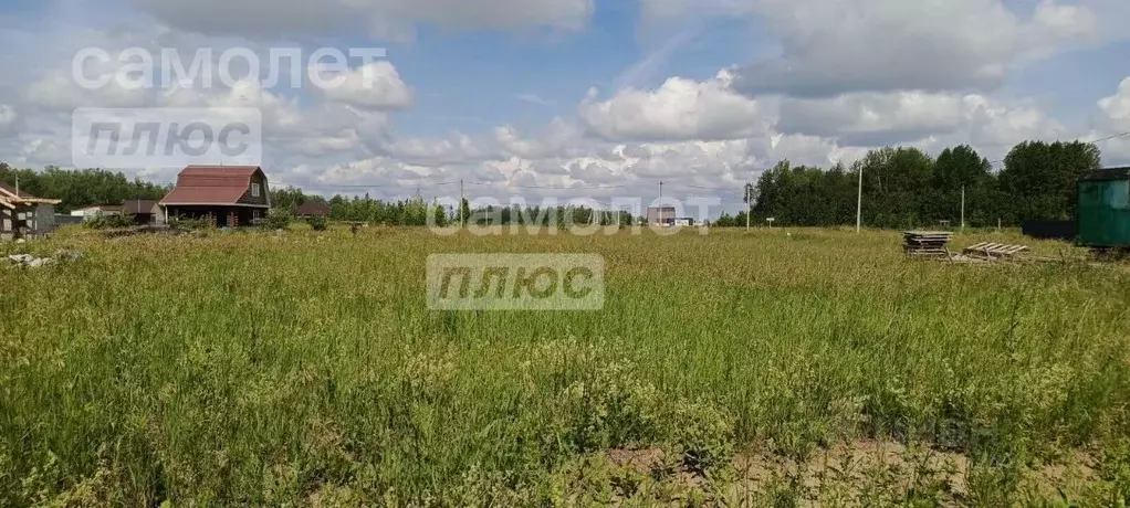 Участок в Тюменская область, Тюменский район, Кулаковское ... - Фото 0