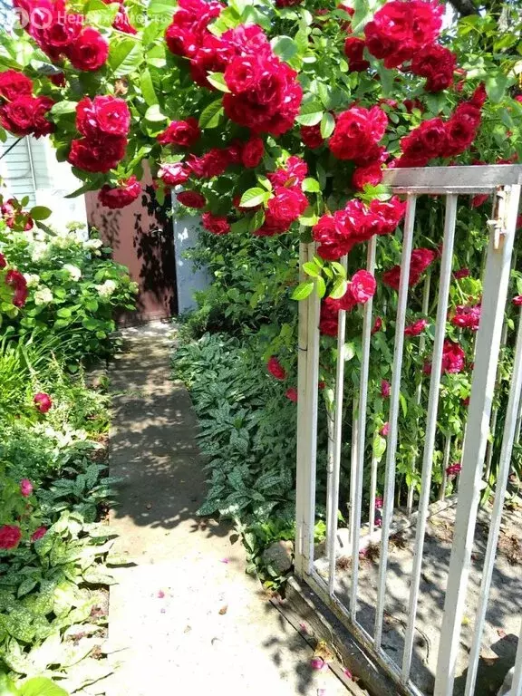 Дом в Нижний Новгород, Гродненская улица, 5 (140 м) - Фото 1