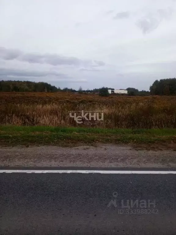 Участок в Нижегородская область, Городецкий муниципальный округ, с. ... - Фото 2