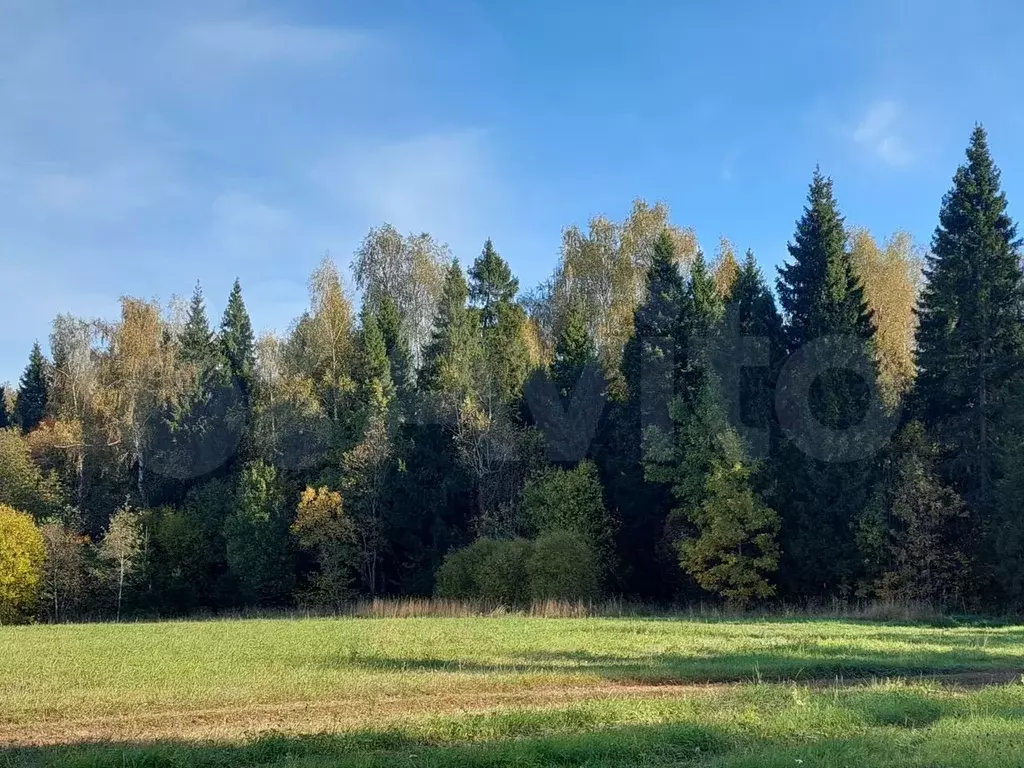 Участок 6,5 сот. (ИЖС) - Фото 1