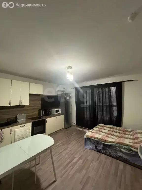 Квартира-студия: Челябинск, Телевизионная улица, 6В (23.9 м) - Фото 2