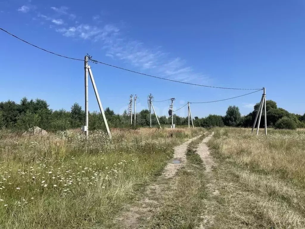 Участок в Калининградская область, Зеленоградский муниципальный округ, ... - Фото 1