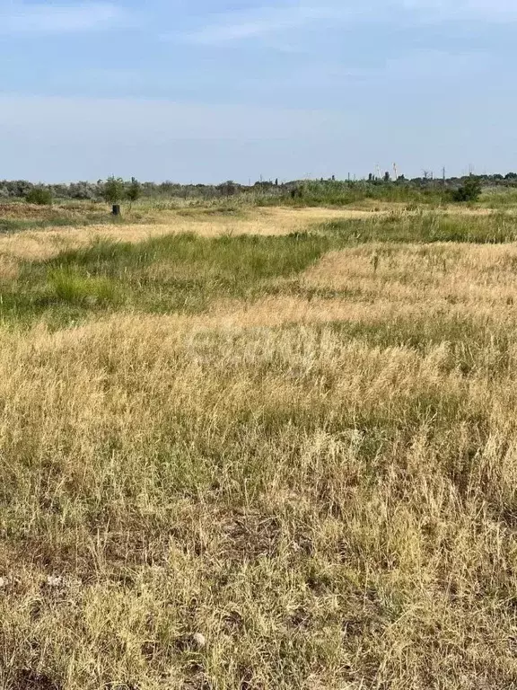 Участок в Ростовская область, Азовский район, Елизаветинское с/пос, ... - Фото 1