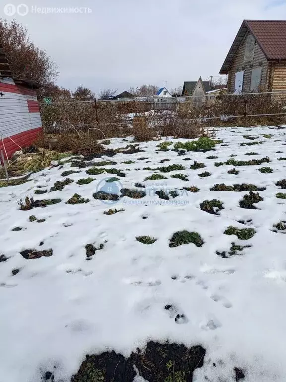 Участок в Новосибирская область, Бердск (6 м) - Фото 2