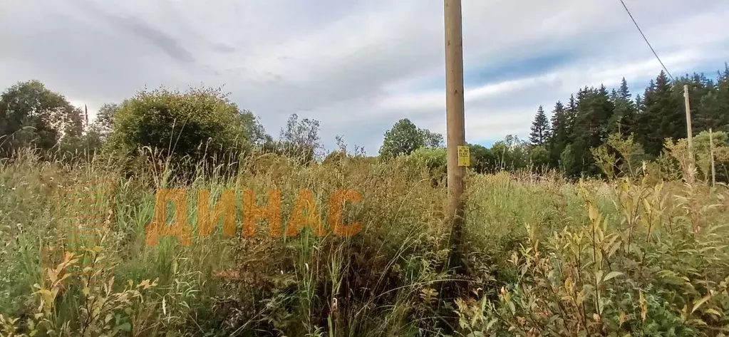 Участок в Ленинградская область, Выборгский район, Рощинское городское ... - Фото 1