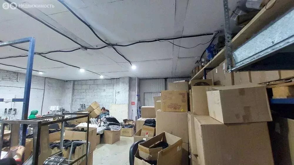 Помещение свободного назначения (258 м) - Фото 1