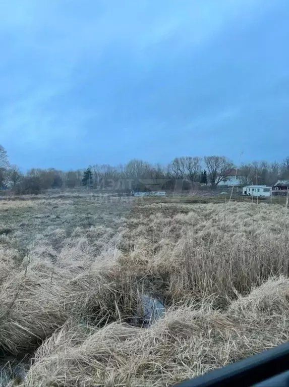 Участок в Калининградская область, Гурьевский муниципальный округ, ... - Фото 1