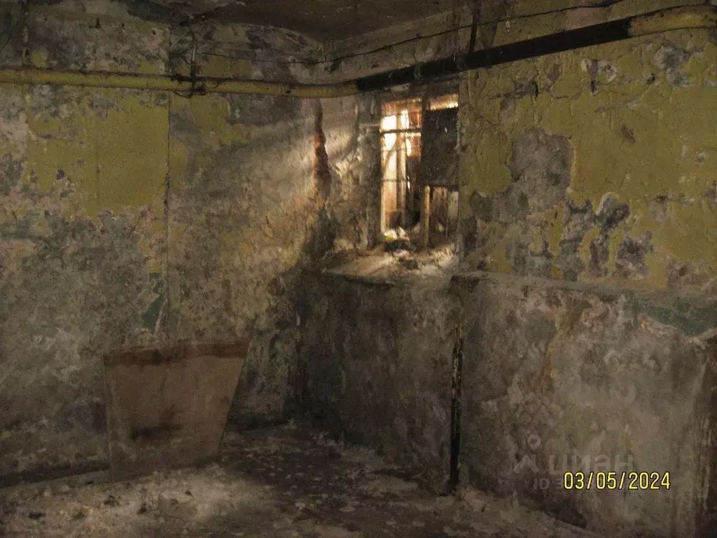 Помещение свободного назначения в Нижегородская область, Нижний ... - Фото 1