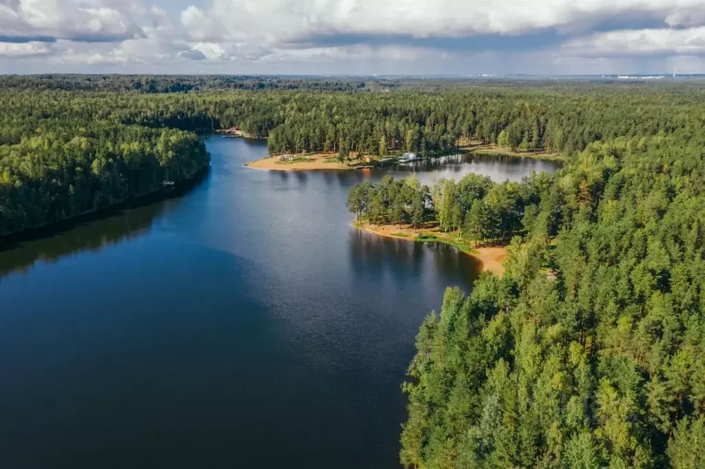 Участок в Ленинградская область, Всеволожский район, Колтушское ... - Фото 1