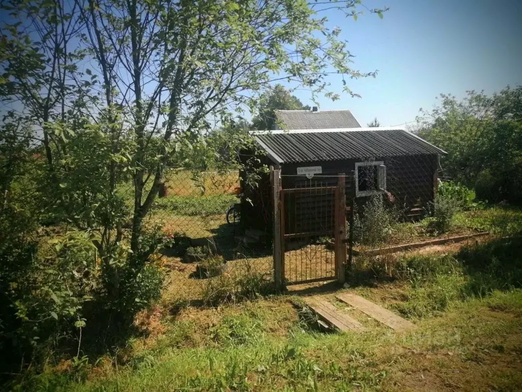 участок в новгородская область, малая вишера пер. 2-й набережный, 8 . - Фото 0