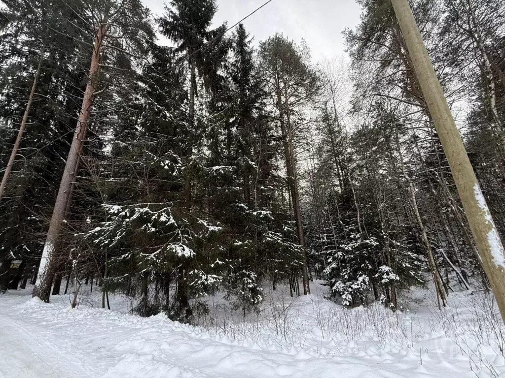 Участок в Ленинградская область, Выборгский район, пос. Первомайское ... - Фото 1