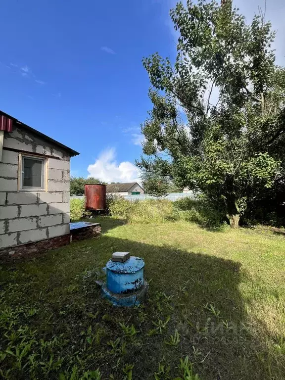 Дом в Воронежская область, Анна пгт ул. Желанная (34 м) - Фото 2