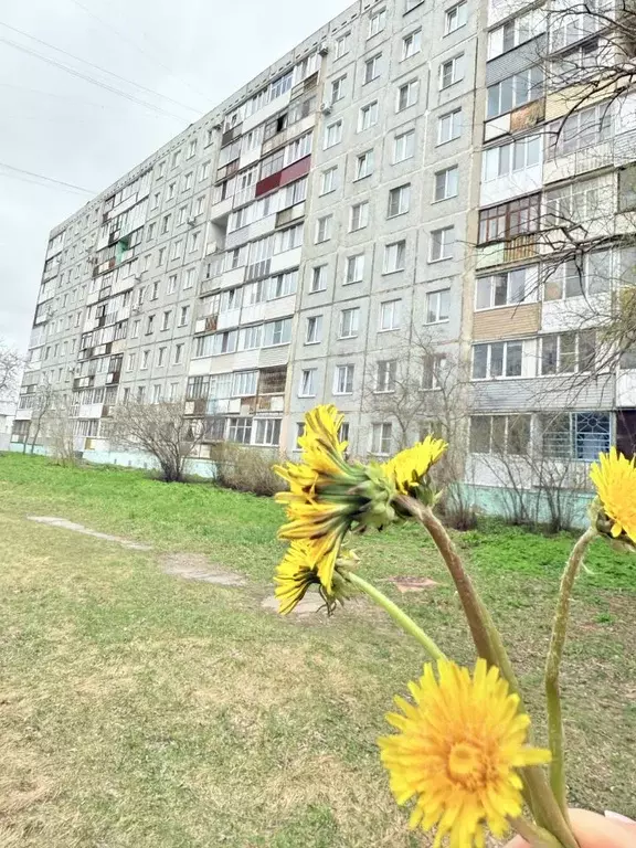 2-к кв. Омская область, Омск ул. Лермонтова, 132 (44.4 м) - Фото 0