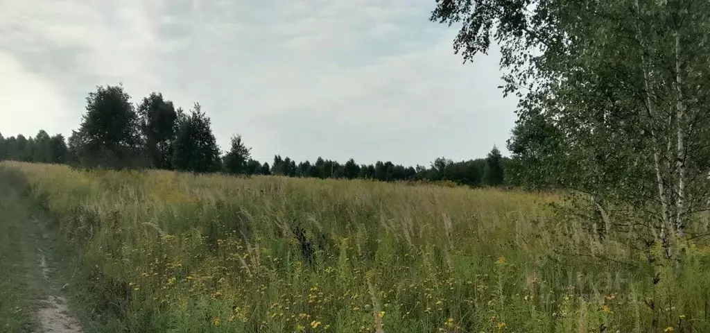 Участок в Тульская область, Тула муниципальное образование, с. Алешня  ... - Фото 0