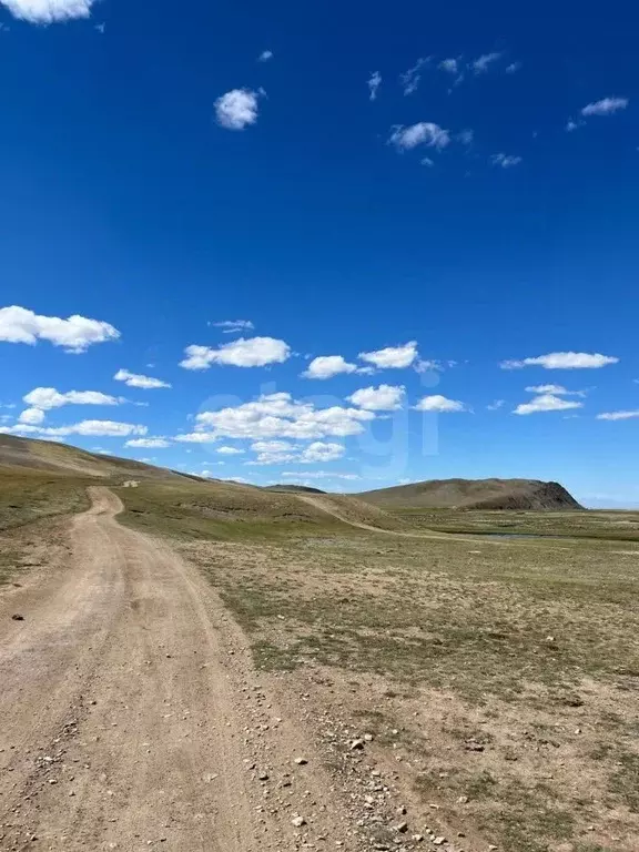 Участок в Алтай, Кош-Агачский район, с. Ташанта  (5250.0 сот.) - Фото 1