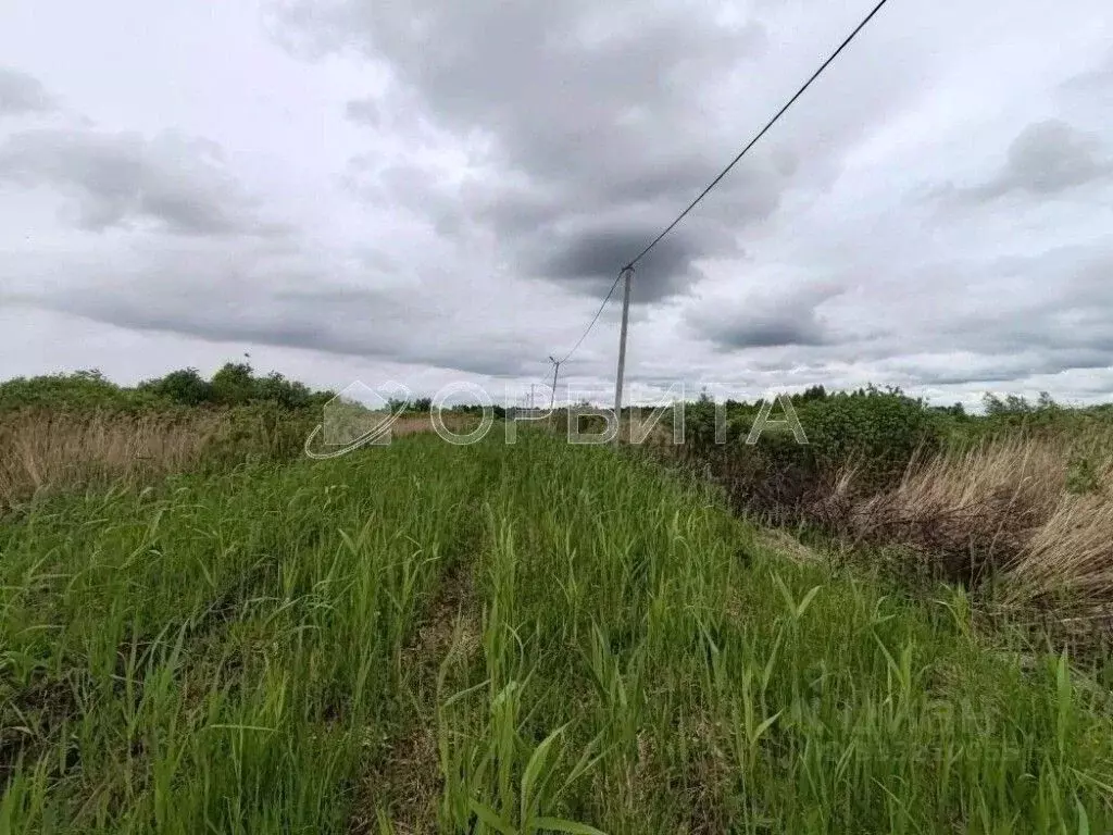 Участок в Тюменская область, Тюмень Березняки СНТ,  (12.0 сот.) - Фото 1