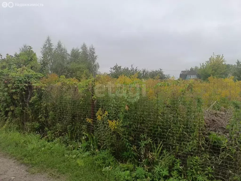 Участок в Орловский муниципальный округ, НСТ Ромашка, 6-я линия (11 м) - Фото 1