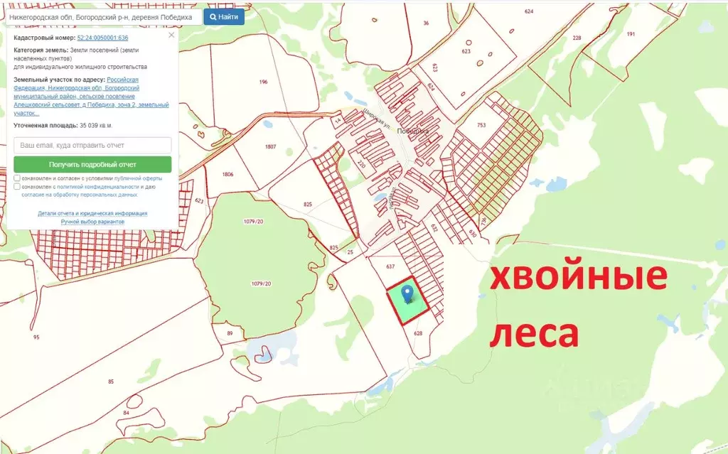 Участок в Нижегородская область, Богородский муниципальный округ, д. ... - Фото 1