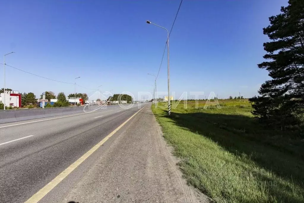 Участок в Тюменская область, Тюменский муниципальный округ, с. Борки ... - Фото 2