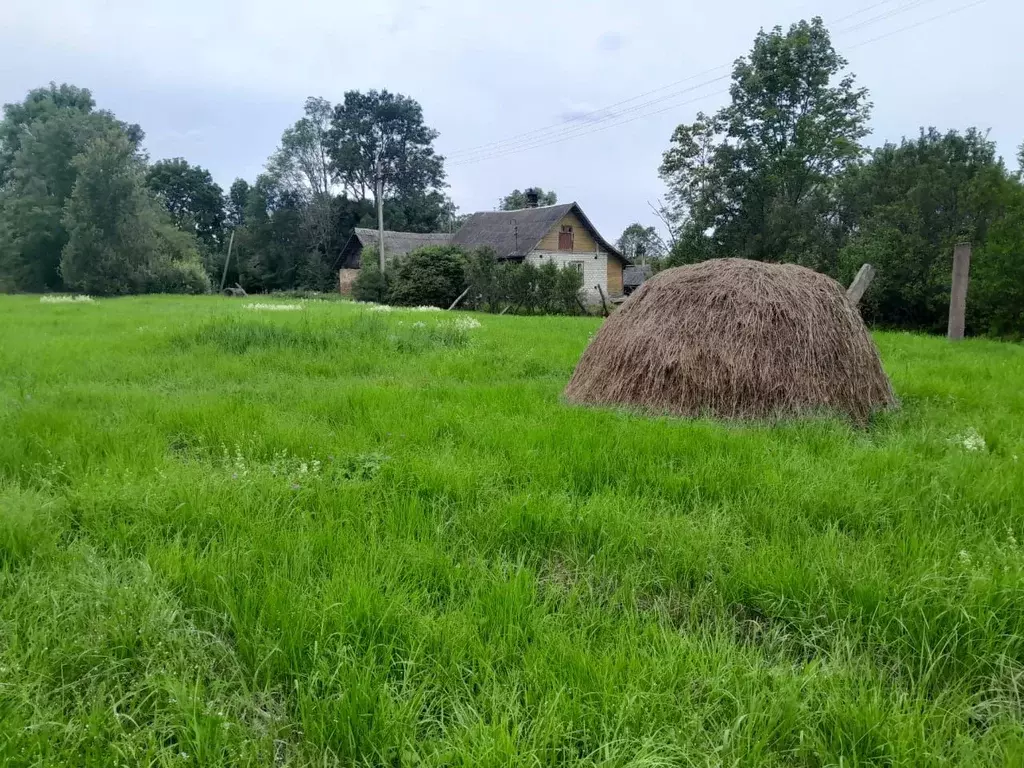 Участок в Псковская область, Печорский муниципальный округ, д. Запутье ... - Фото 1