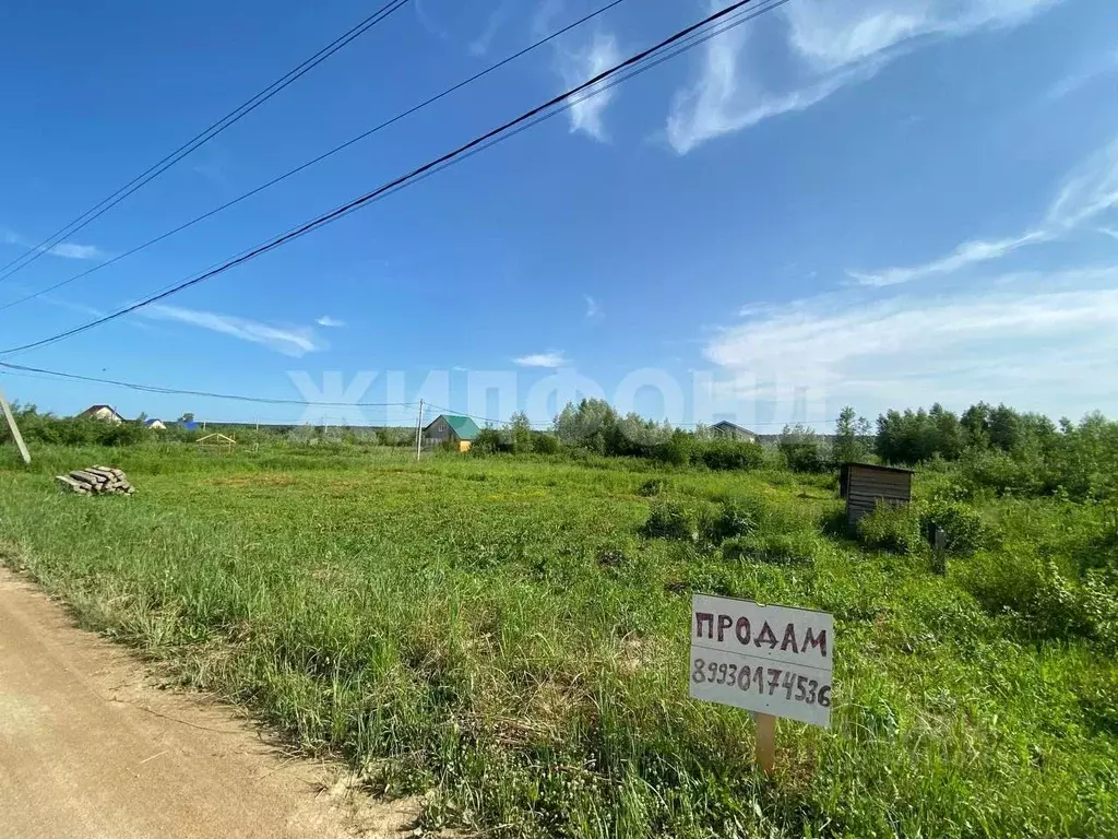 Участок в Новосибирская область, Новосибирский район, Криводановский ... - Фото 1