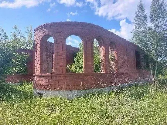 Дом в Самарская область, Ставропольский район, Нижнее Санчелеево ... - Фото 1