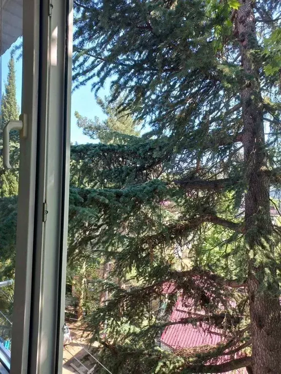 2-к кв. Крым, Алушта муниципальный округ, Партенит пгт ул. Солнечная, ... - Фото 2