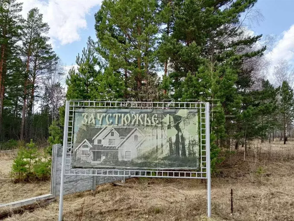 Участок в Емельяновский район, село Устюг (10 м) - Фото 1