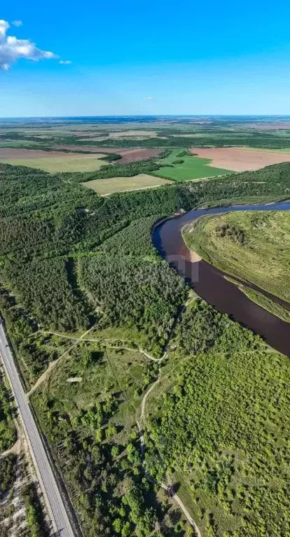 Участок в Амурская область, Серышевский муниципальный округ, с. ... - Фото 1