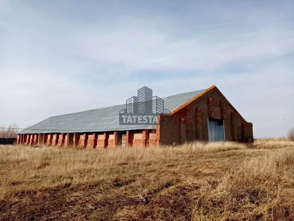 Склад в Татарстан, Алексеевское пгт ул. Чистопольская, 5А (1200 м) - Фото 0