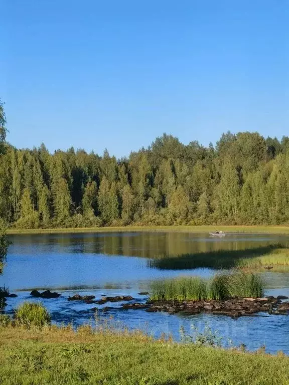 Дом в Карелия, Олонец  (24 м) - Фото 0