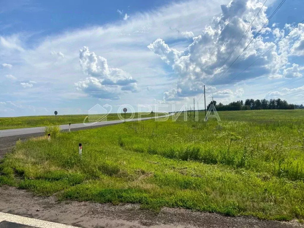 Участок в Тюменская область, Тюменский район, с. Червишево  (10.0 ... - Фото 2