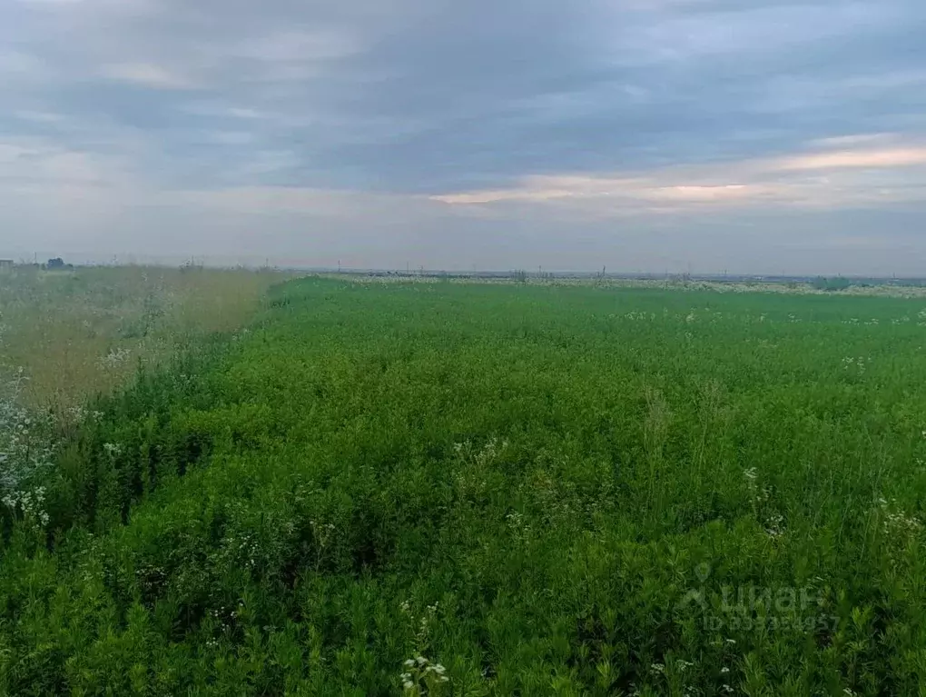 Участок в Кабардино-Балкария, Чегем Южный мкр,  (8.0 сот.) - Фото 2