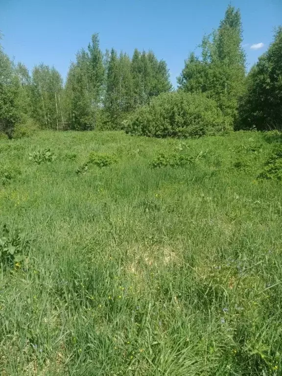 Участок в Московская область, Ступино городской округ, д. Каменищи  ... - Фото 2
